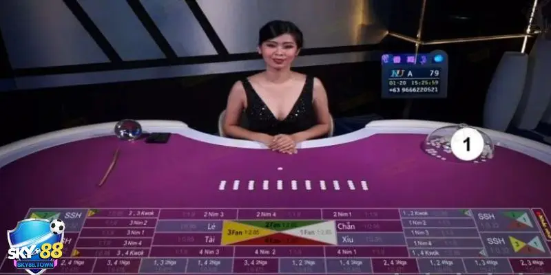 bài Fan Tan Tìm hiểu luật chơi cơ bản của bài Fan Tan
