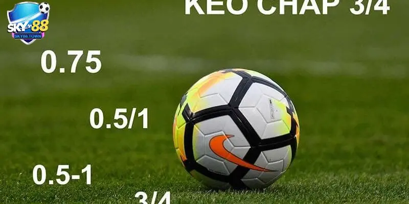 kèo cược chấp toàn trận Tổng hợp các loại kèo cược chấp toàn trận phổ biến