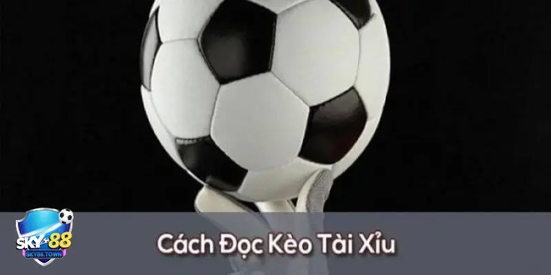 kèo tài xỉu toàn trận Các hình thức kèo tài xỉu toàn trận trong bóng đá